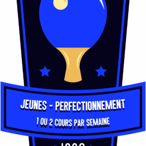Jeunes - Cours "Perfectionnement"